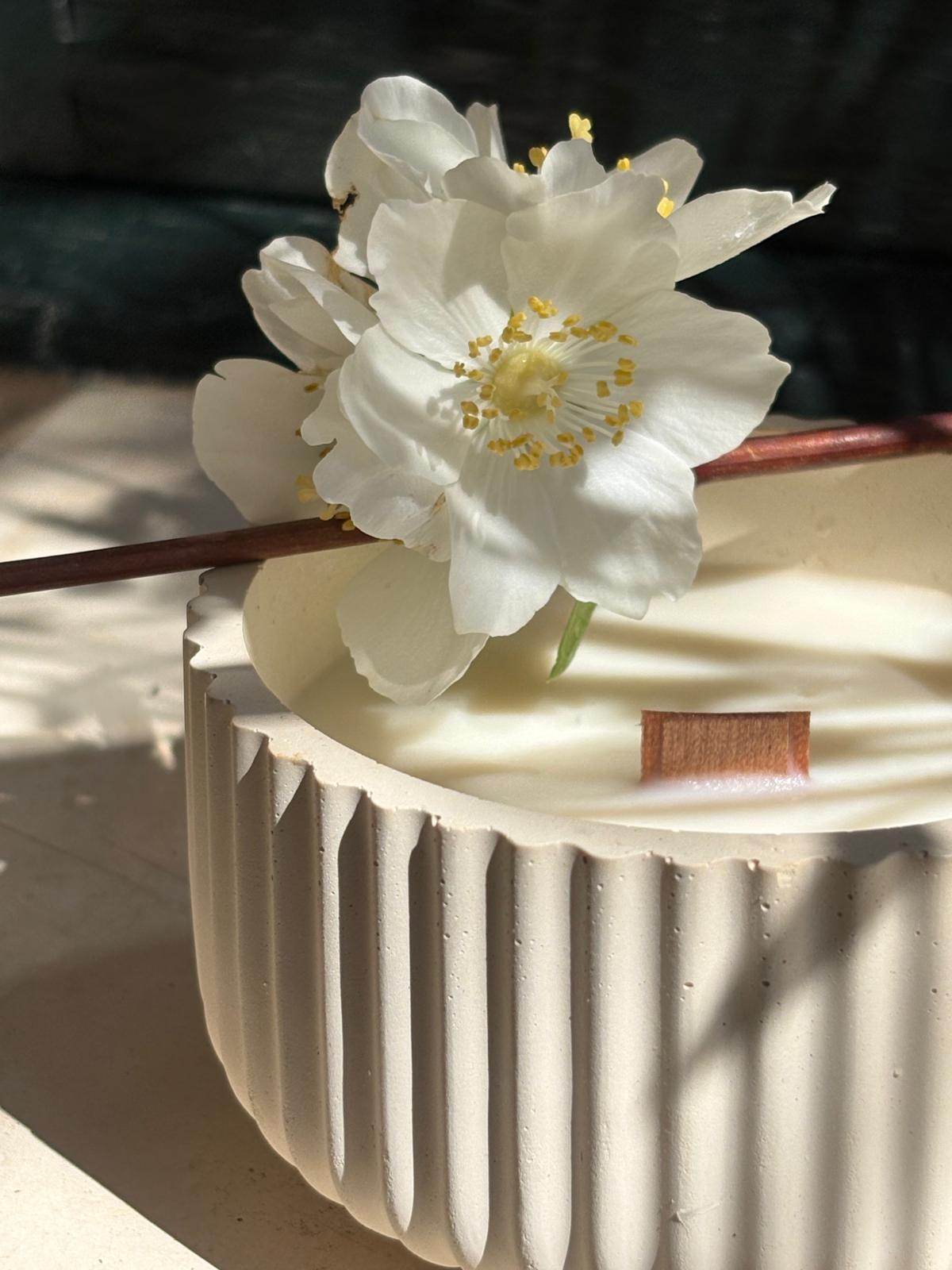 Zen Lotus