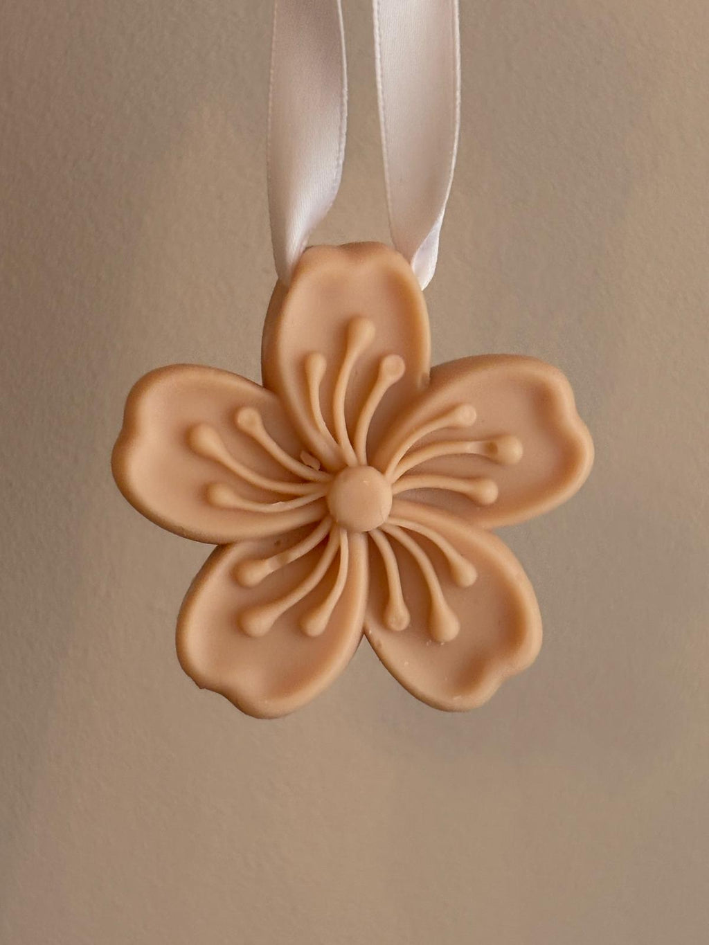 Ambientador sólido armario