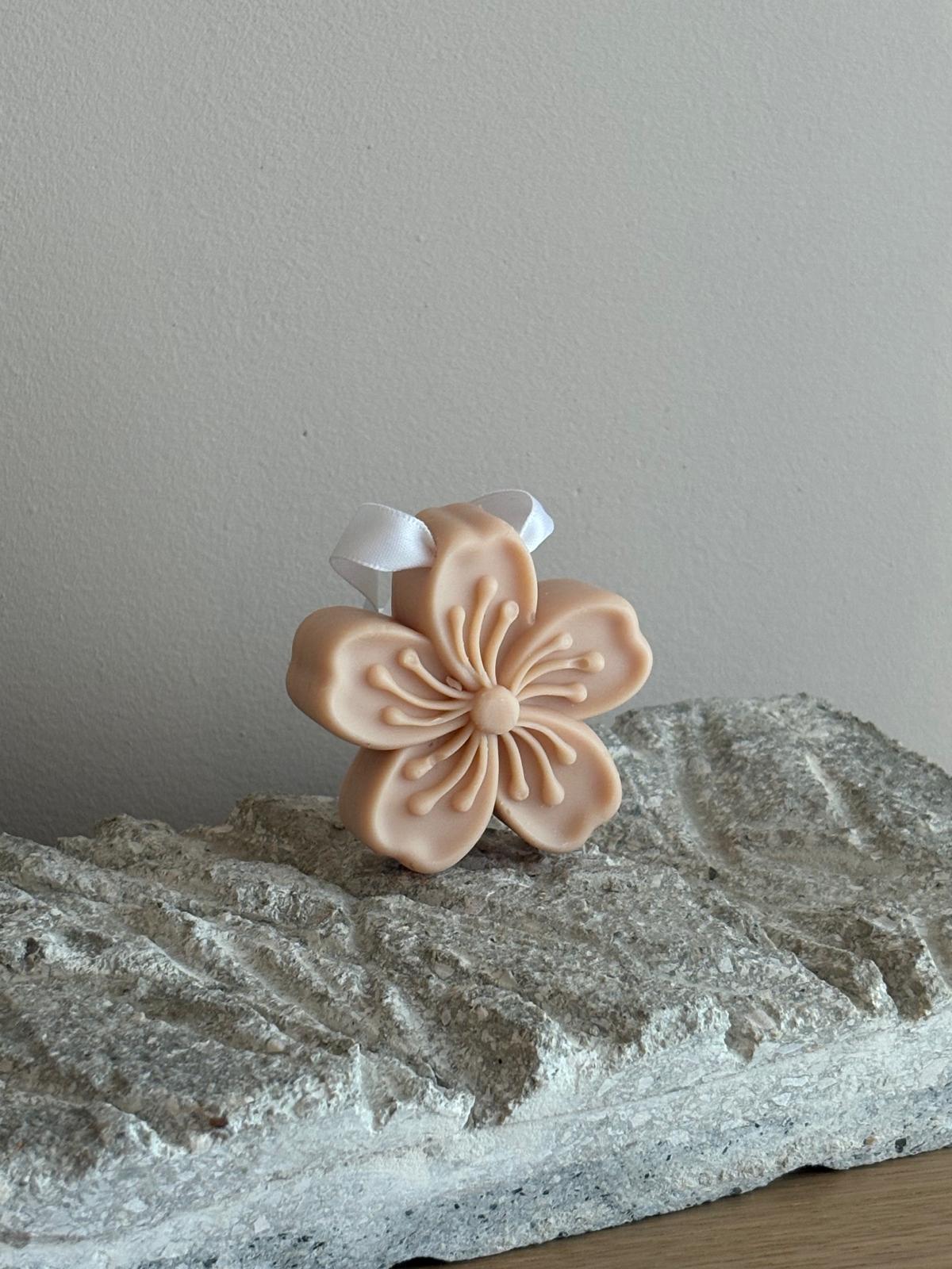 Ambientador sólido armario