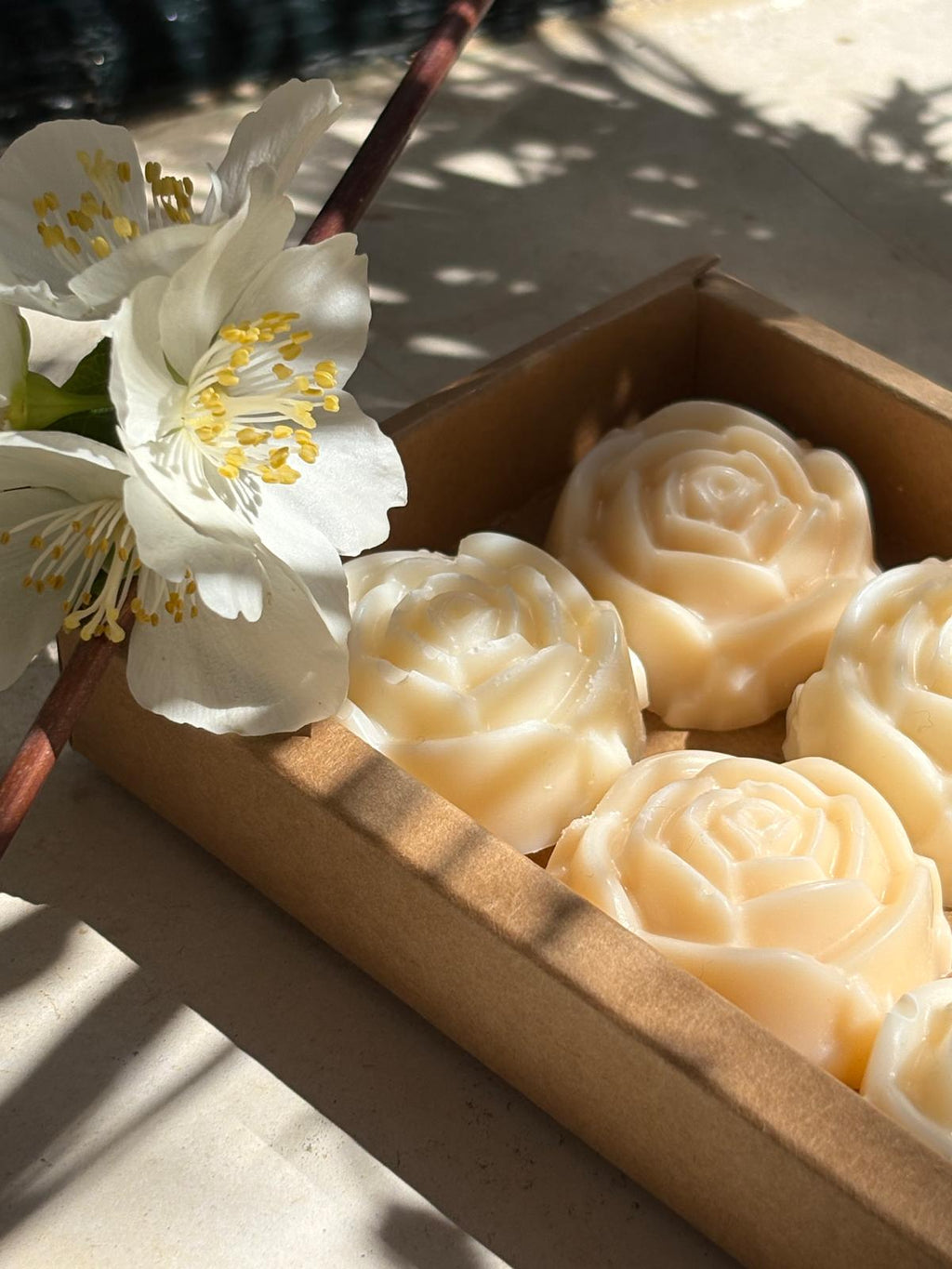 Wax melts rosas-orquídea/flor de algodón