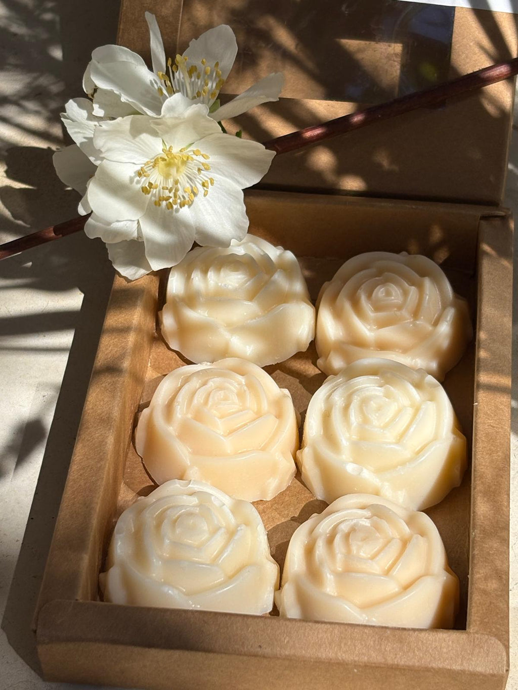 Wax melts rosas-orquídea/flor de algodón