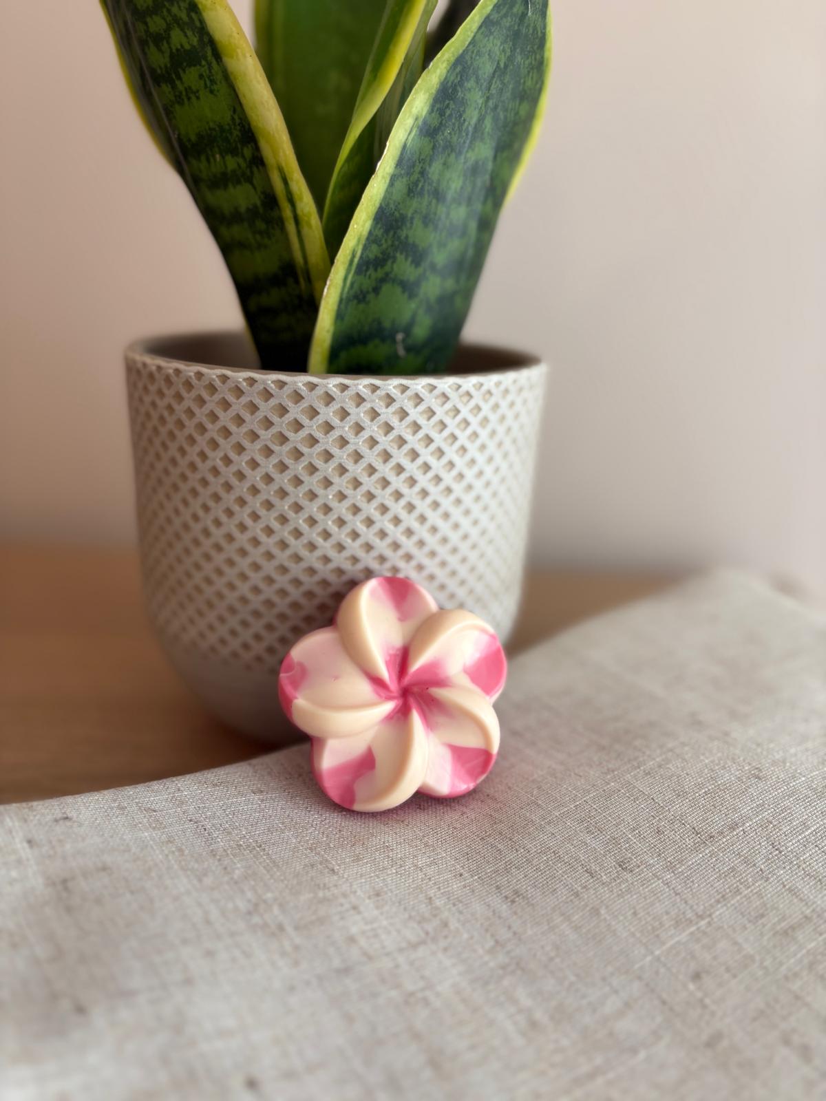 Ambientador sólido cajones