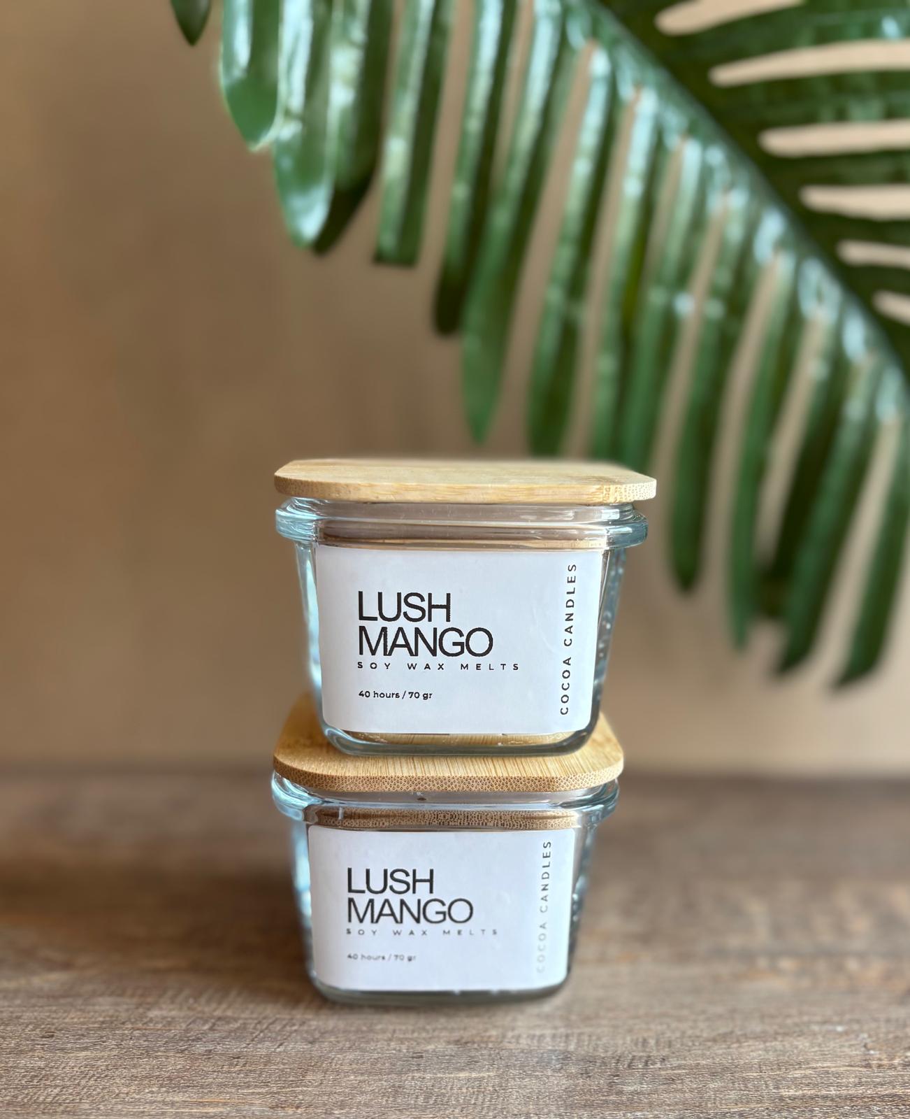 Lush mango wax melts