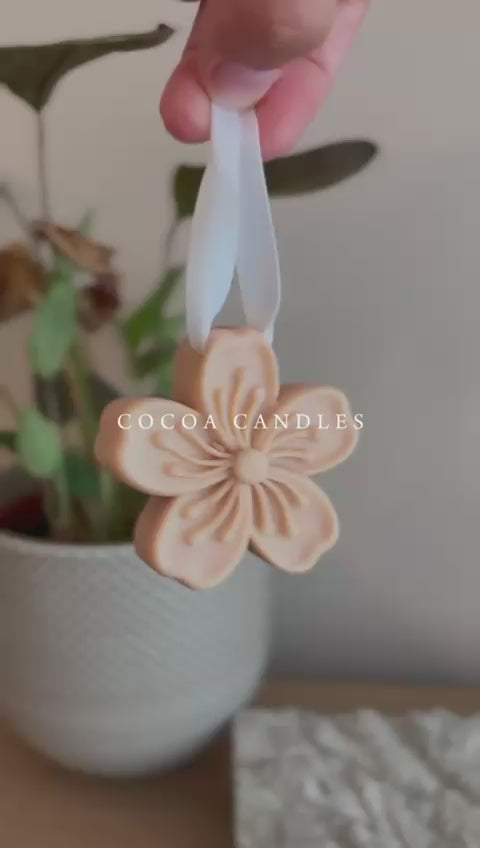 Ambientador sólido armario