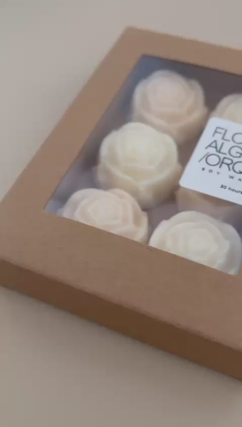 Wax melts rosas-frambuesa vainilla/ rosa